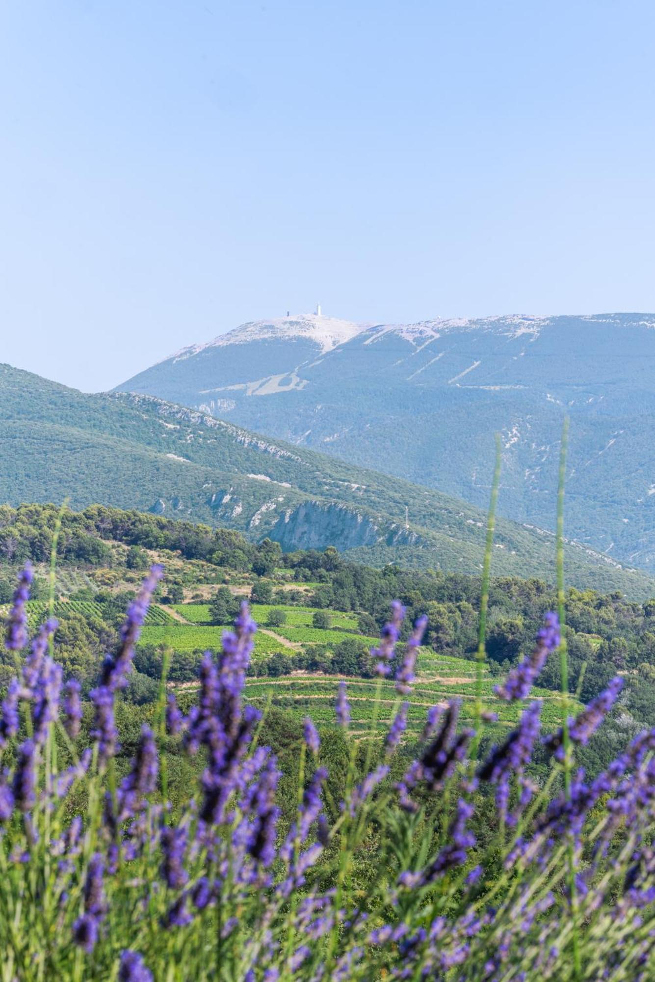 Gite Les Aiguillans Mérindol-les-Oliviers Exteriör bild